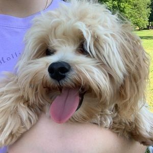 Meet your Posher, Natalia